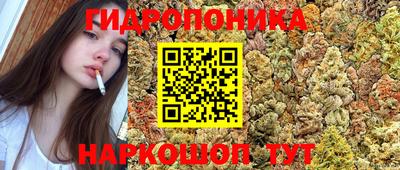 spice Чапаевск