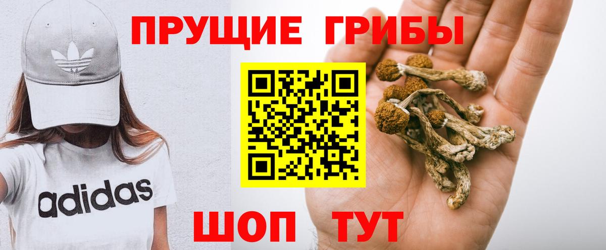 Псилоцибиновые грибы мицелий  Вход с VPN  Первоуральск  Псилоцибиновые грибы Psilocybine cubensis 